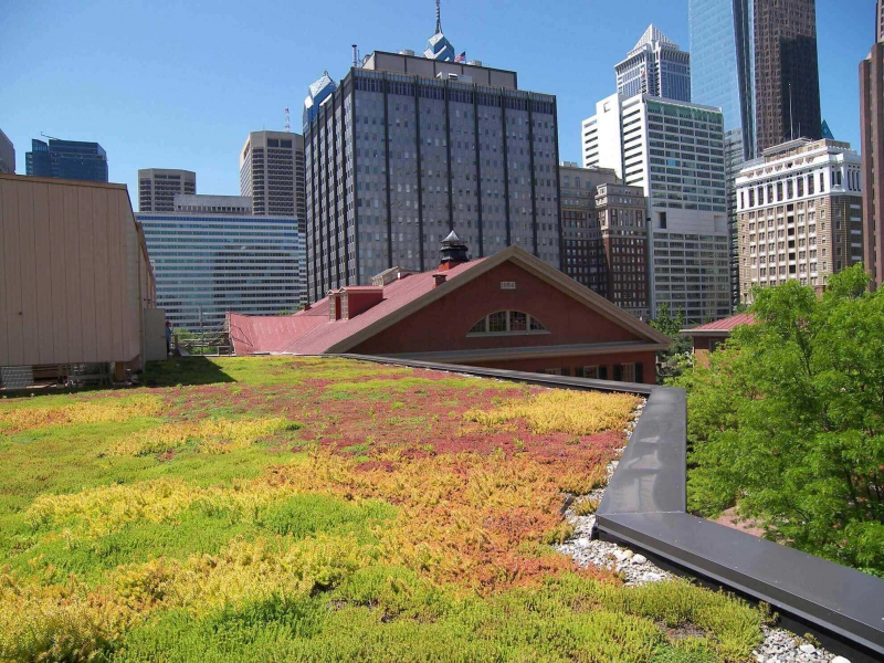 paysagiste-ILONSE-min_green-roof-portfolio-4